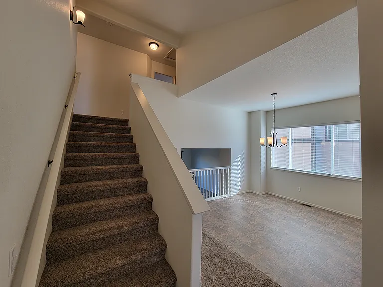 1823 Abundance Dr — Photo 3