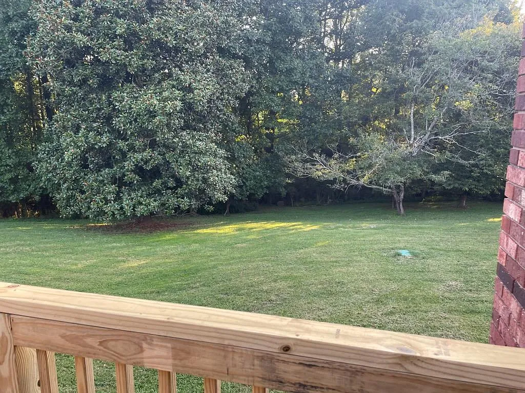 1 bed, 960 sqft, $900 — Photo 4