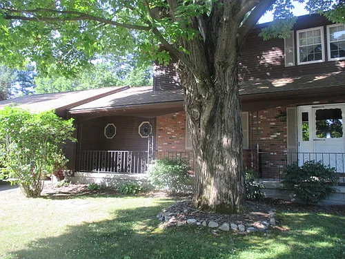 73 Elm St Photo 1 73 Elm St Photo 1