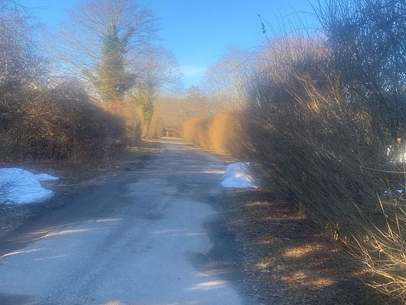 4th image of 224 County Road 39