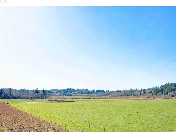 0 NE 156th Ave #11, Amboy, WA 98601