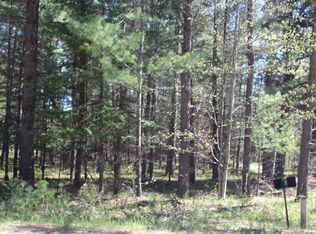 3945&3955 W Cherry Creek Rd, Mio, MI 48647