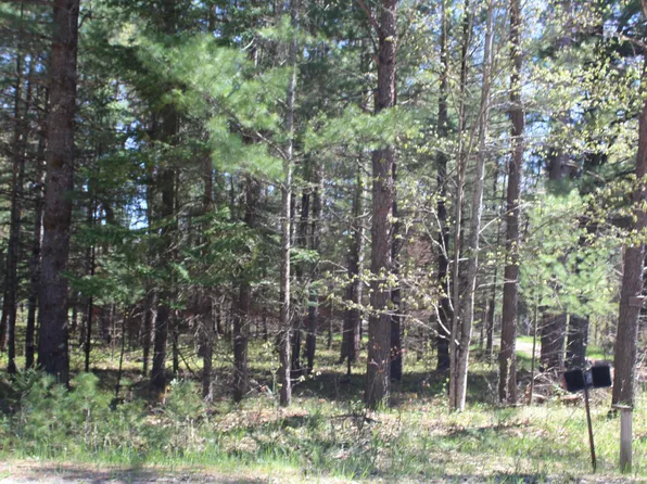 3945&3955 W Cherry Creek Rd, Mio, MI 48647