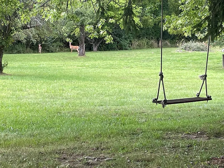 31 Mile Rd — Photo 30