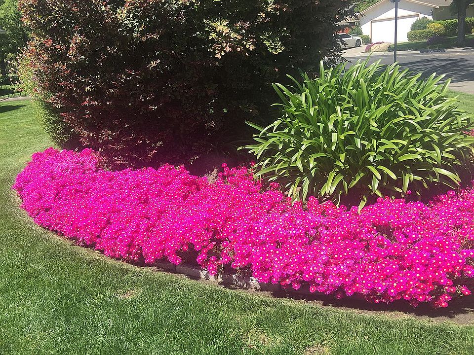 Now this is curb appeal!