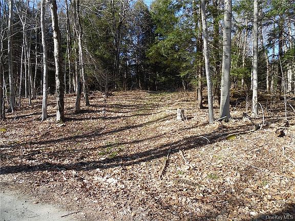 3rd image of 183 Revonah Hill Road