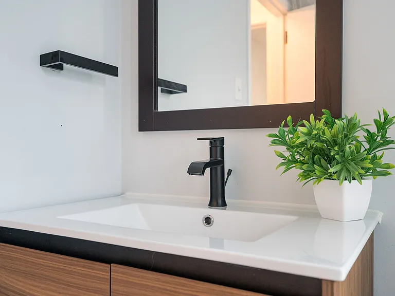 Master Bathroom Sink
