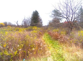 0 Baptist Hill Rd, Bloomfield, NY 14469