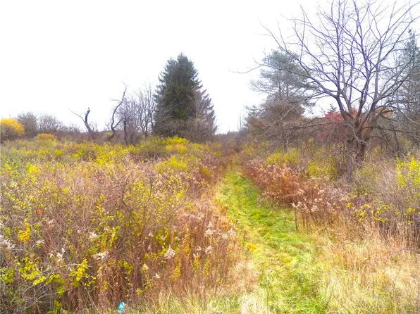 0 Baptist Hill Rd, Bloomfield, NY 14469
