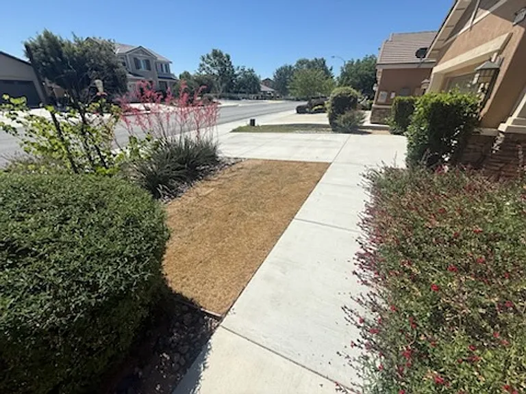 30153 Bristol Gate Ln — Photo 23