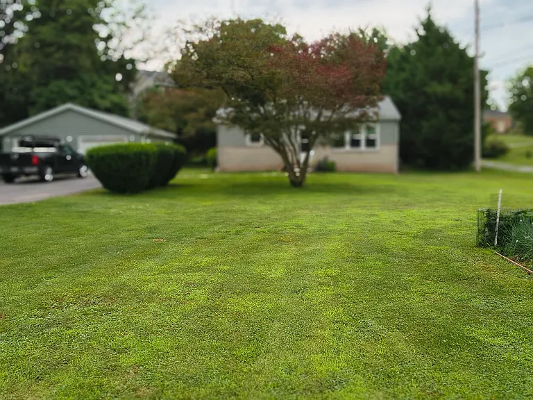 2931 Westwind Ln — Photo 11