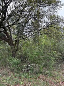 Nhn Hwy S #43, Picayune, MS, 39466