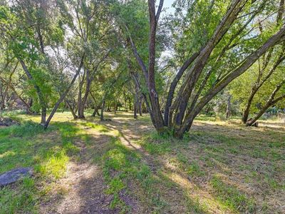 Tracy Ln, Loomis, CA, 95650