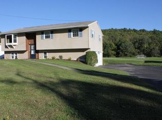 1184 Foster Valley Rd, Owego, NY 13827