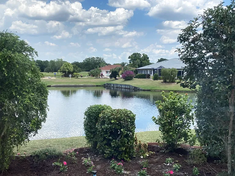 View from the garden patio