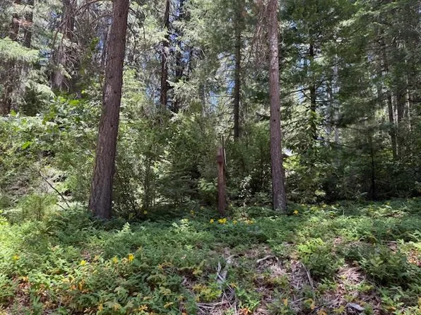 14145 La Porte Rd, Strawberry Valley, CA 95981