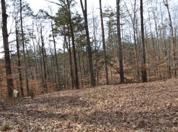 2nd image of 87/AC Boles Rd