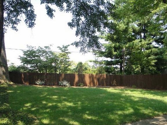 back yard