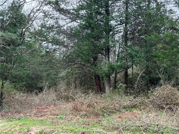 Maple Dr, Caldwell, TX 77836