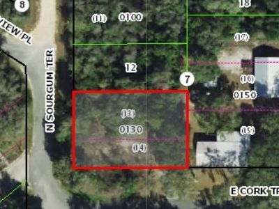 4797 E Cork Tree Ln, Hernando, FL, 34442