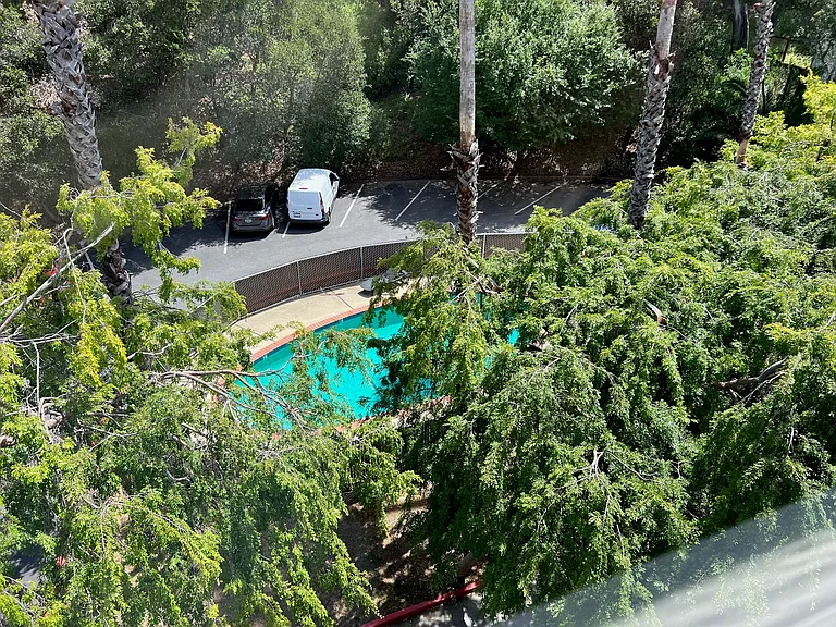 10 Mulberry Court — Photo 18