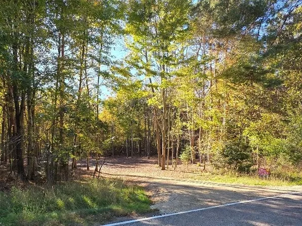 County Rd W #21, Wild Rose, WI 54984