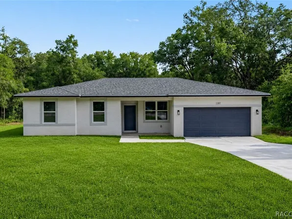 1197 W G Martinelli Blvd, Citrus Springs, FL 34434