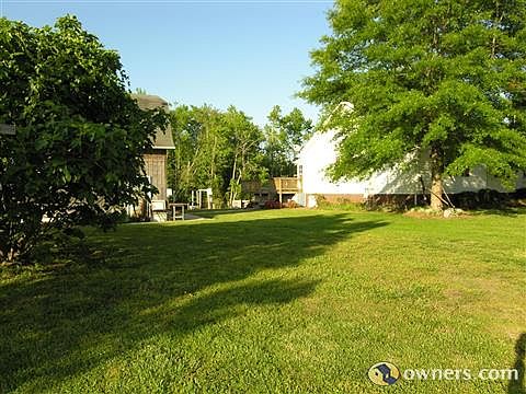 Side Yard with figs and muscadine grapes