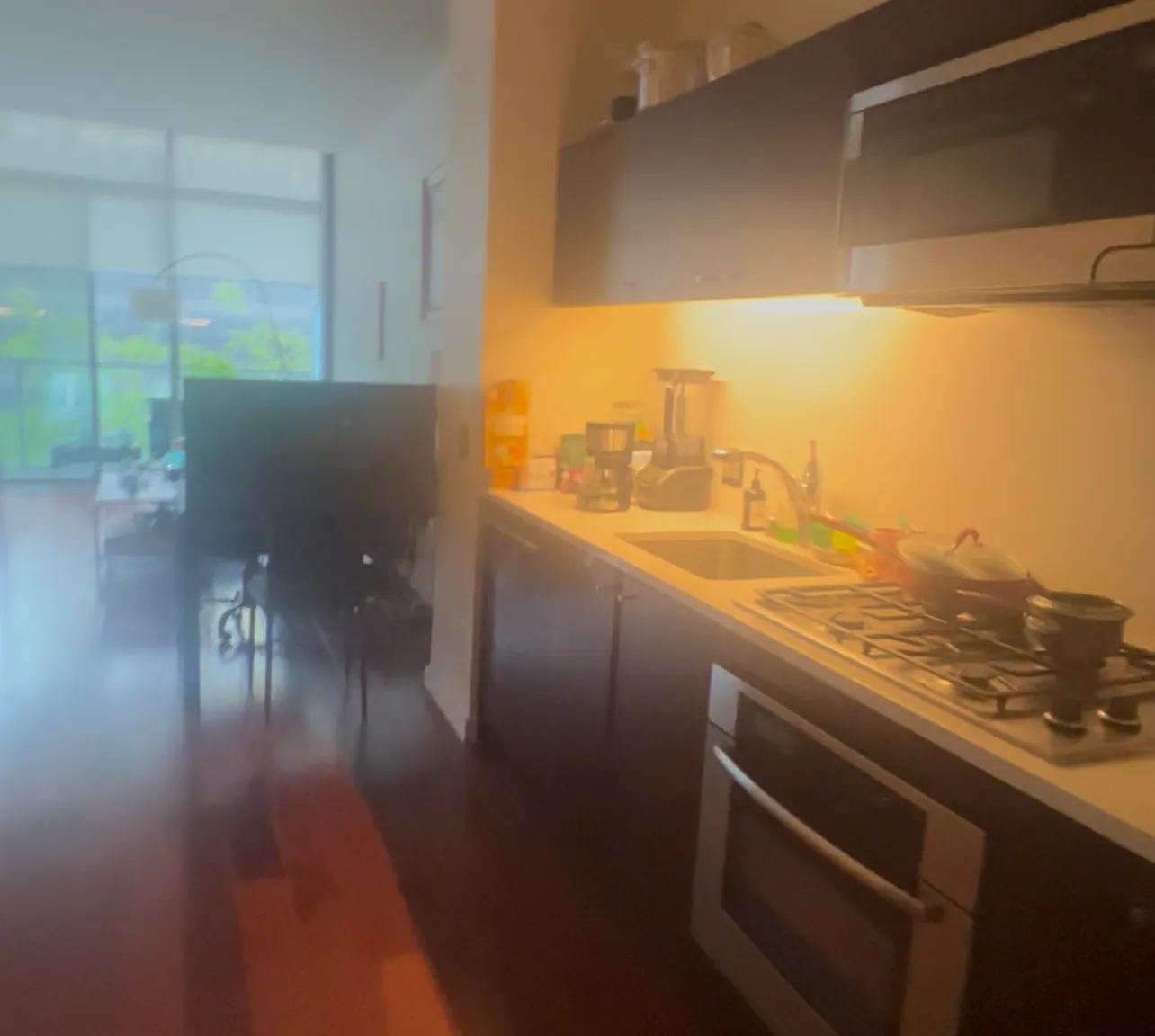 1 bed, 920 sqft, $2,866 — Photo 4