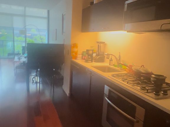 4th image of 1155 S Grand Ave APT 511