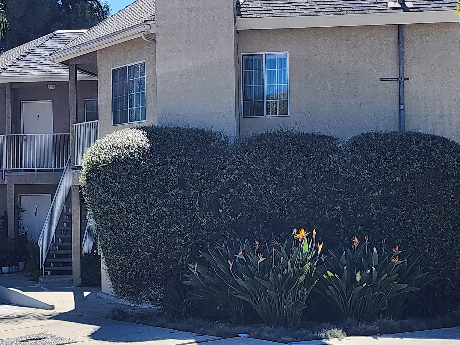 3 bed, 1020 sqft, $3,350 — Photo 2