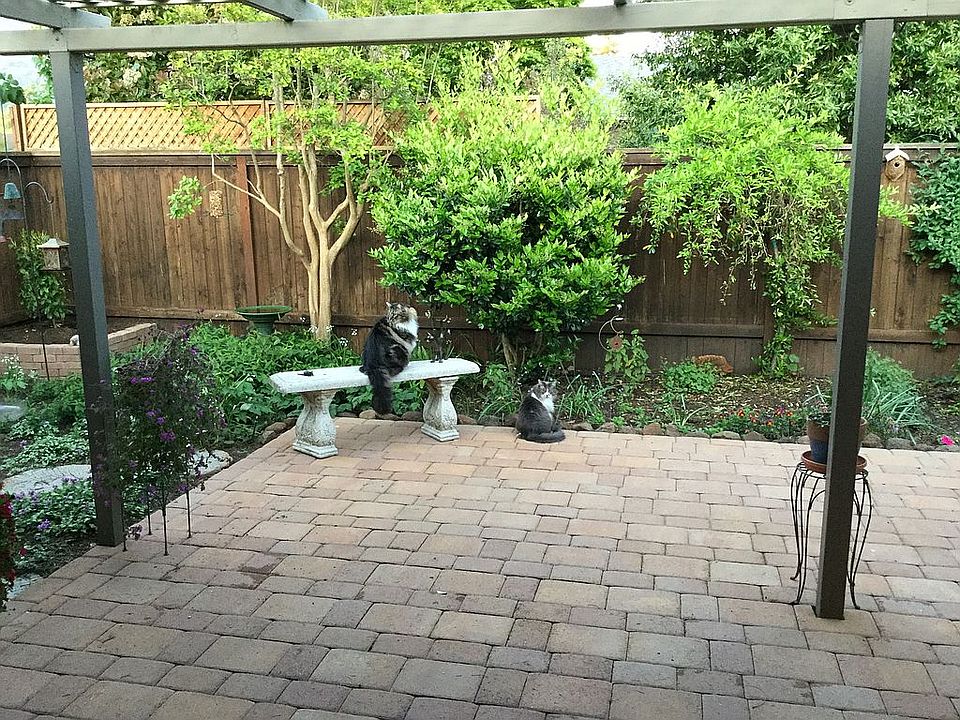 Entirely fenced backyard