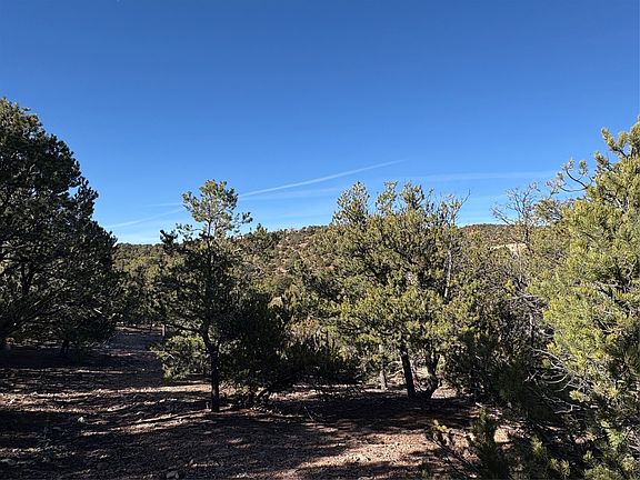3rd image of 1953 Cerros Colorados