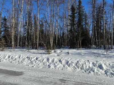 25842 W Southlake Dr, Willow, AK, 99688