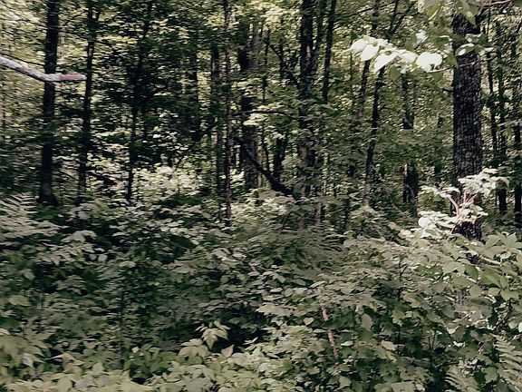 5th image of Off Bass Lake Rd