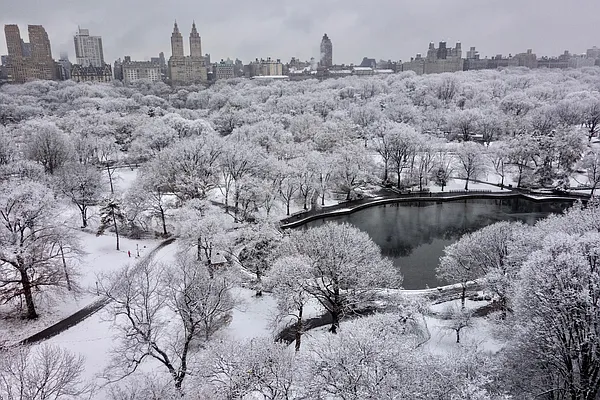 Sold by Douglas Elliman | media 58