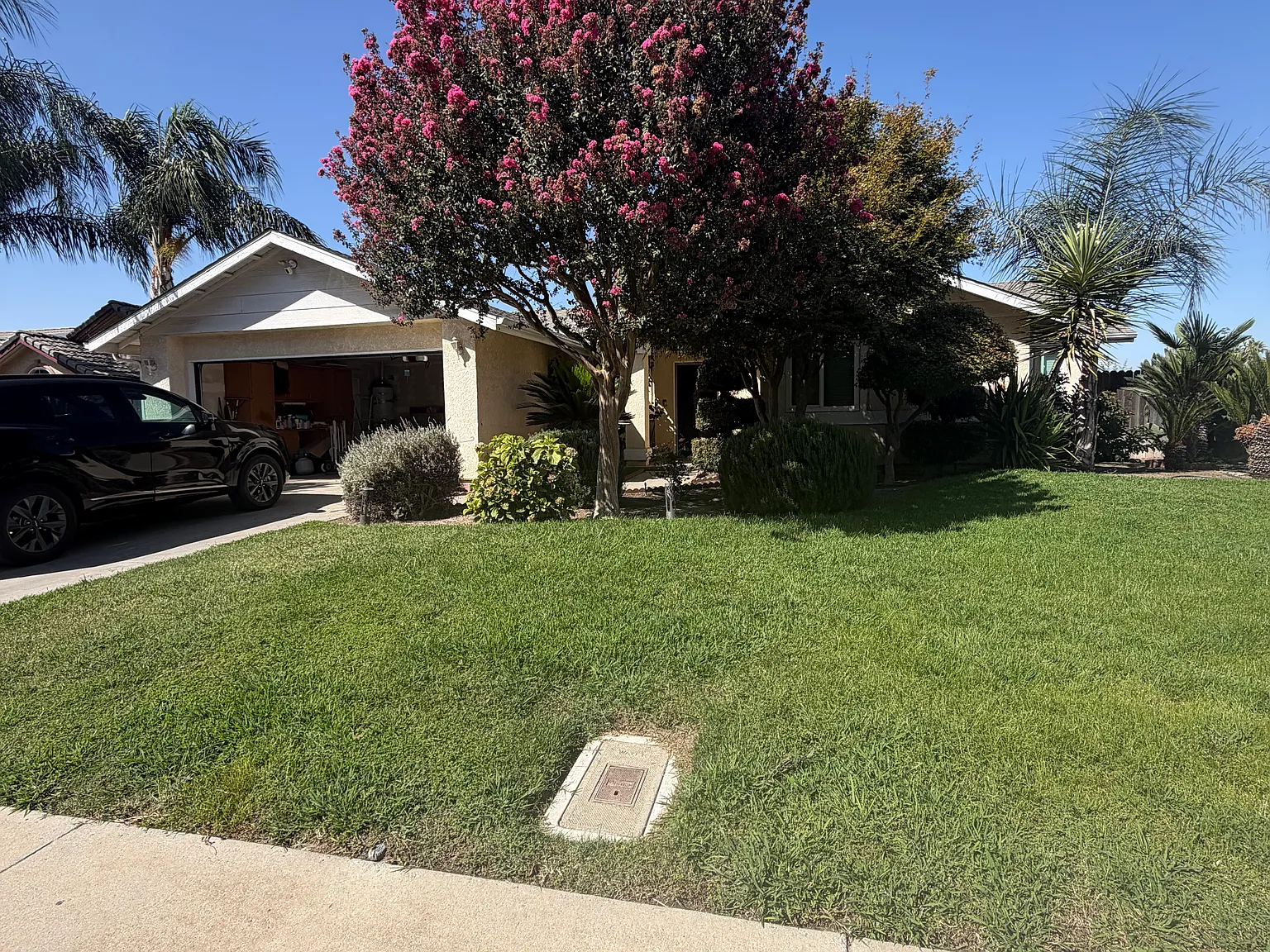 3 bed, 1536 sqft, $2,200 — Photo 2