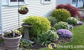 Front perenial flower bed