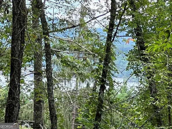 1 Buena Vista Dr, Hayesville, NC 28904