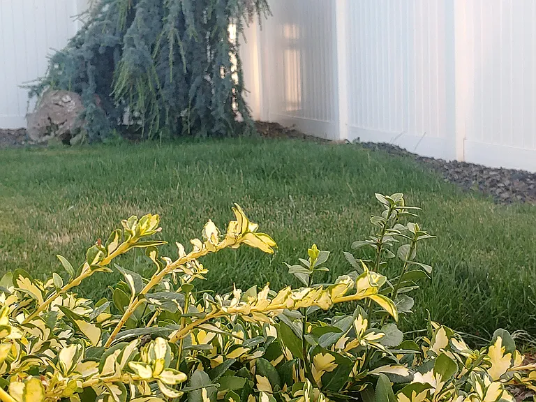 1875 W Deserthawk Dr — Photo 31