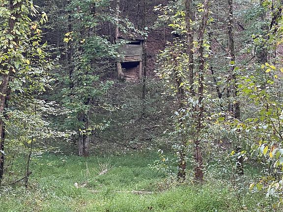 113th image of 450 County Road 28