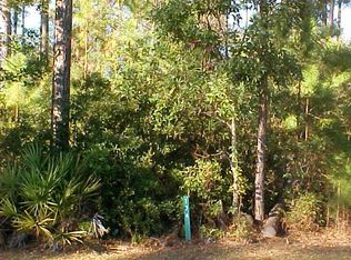 LOT 174 Winterberry Ct NE, Townsend, GA 31331