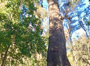 Buck Hollow Rd, Brooksville, FL 34601