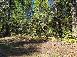 1655231000900 McKenzie St, Blue River, OR 97413