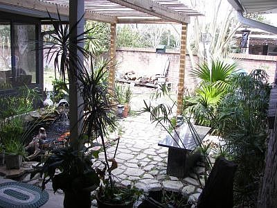 Back Porch view of the Koi pond