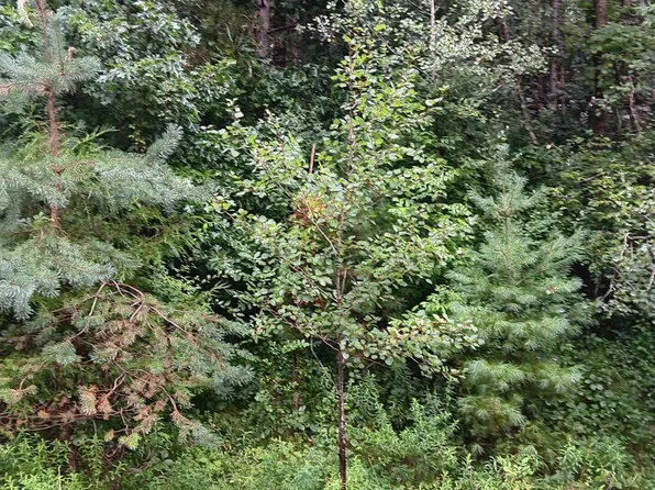 24 Bennington Greens Dr, Owosso, MI 48867