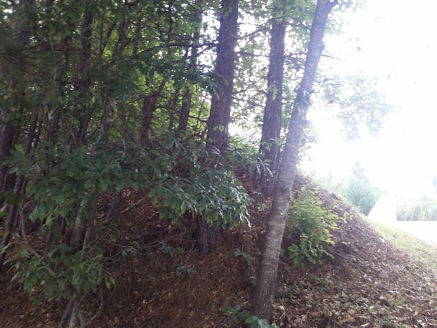 2nd image of 2800 Highway 81 S