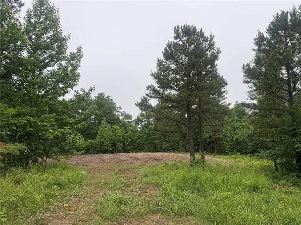 2 Nc #3050, Jasper, AR 72641