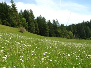 12650 Hearst Rd, Willits, CA 95490