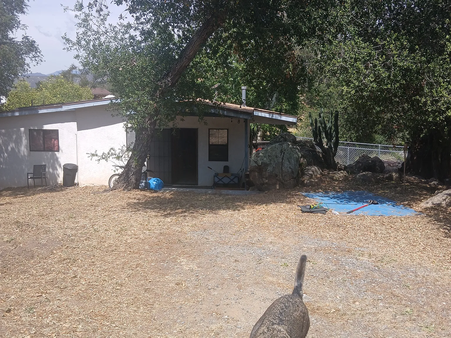 Hidden Glen Rd, Alpine — Photo 1